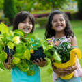 Pragati Green Initiatives